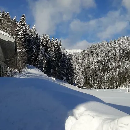 Apartmán Haus Amade Wagrain