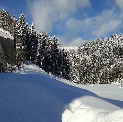 Apartman Haus Amade Wagrain